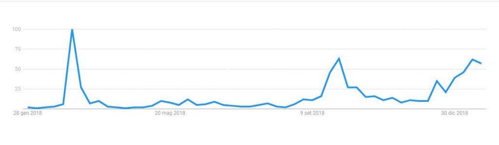 interesse nell'ultimo anno sul reddito di cittadinanza