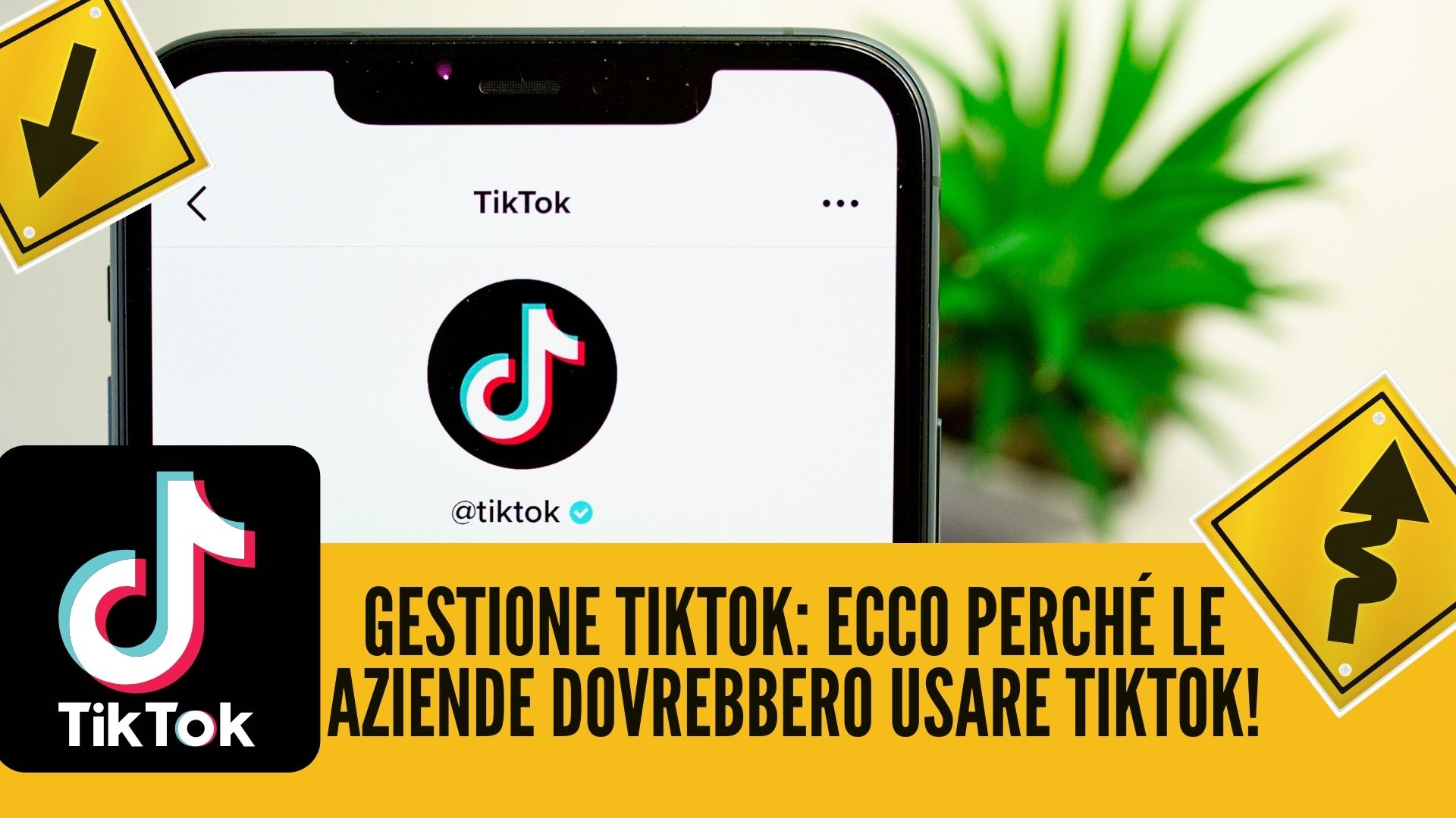 Gestione TikTok: Ecco perché le aziende dovrebbero usare TikTok!